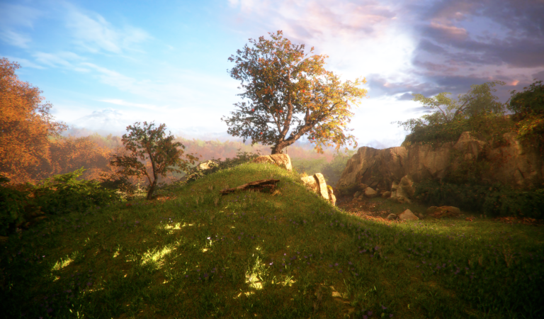 Scenery – Tree 👌